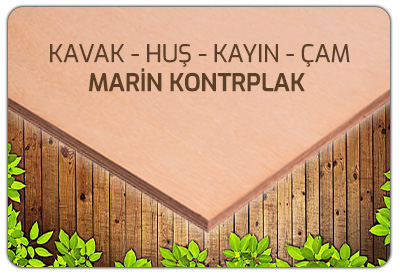 denizli marin kontrplak kavak hus kayin